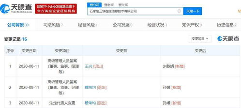 美團關聯公司監事變更 王興卸任，劉敏娟接棒，聚焦信息系統集成服務